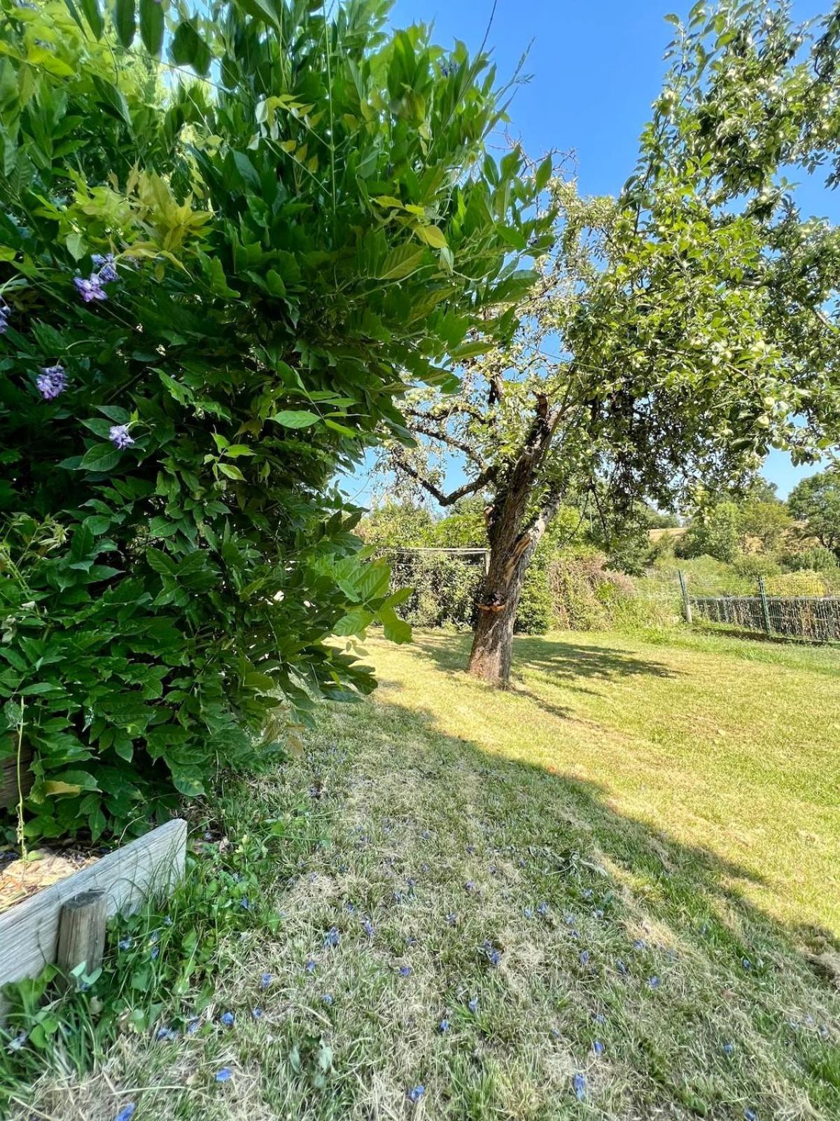 Villa La Baronnie - 11 Pers - Proche Brive -Jardin Ussac Zewnętrze zdjęcie