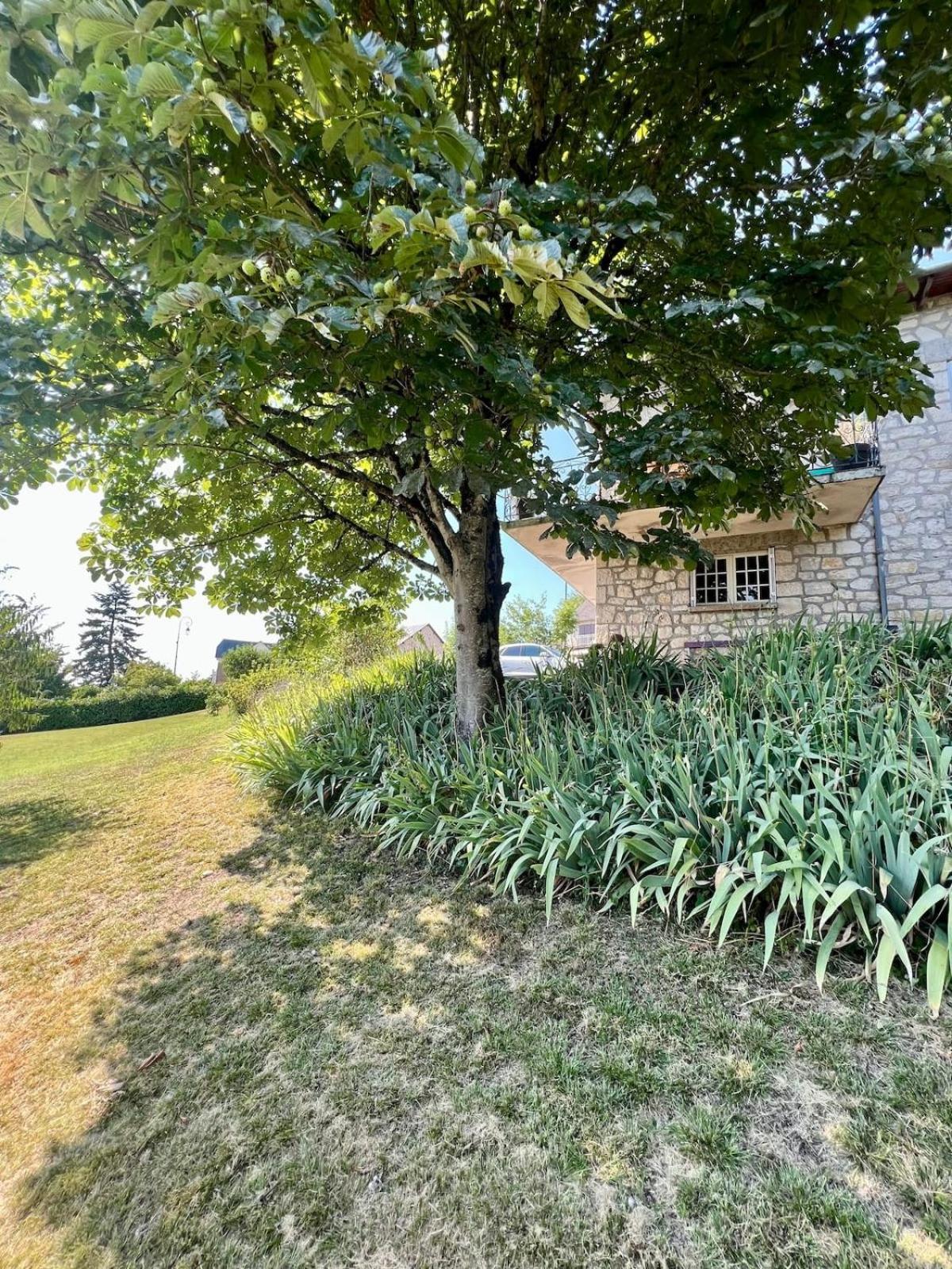 Villa La Baronnie - 11 Pers - Proche Brive -Jardin Ussac Zewnętrze zdjęcie